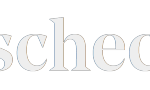 vscheck logo 8